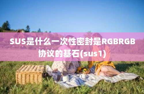 SUS是什么一次性密封是RGBRGB协议的基石(sus1)