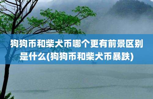 狗狗币和柴犬币哪个更有前景区别是什么(狗狗币和柴犬币暴跌)