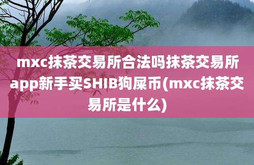 mxc抹茶交易所合法吗抹茶交易所app新手买SHIB狗屎币(mxc抹茶交易所是什么)