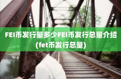 FEI币发行量多少FEI币发行总量介绍(fet币发行总量)