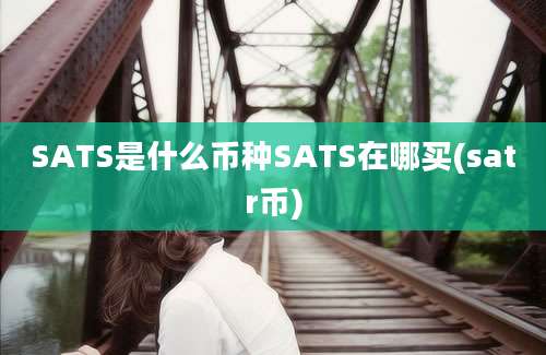 SATS是什么币种SATS在哪买(satr币)