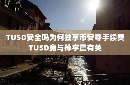 TUSD安全吗为何独享币安零手续费TUSD竟与孙宇晨有关