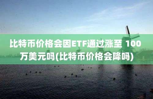 比特币价格会因ETF通过涨至 100 万美元吗(比特币价格会降吗)