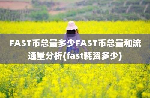 FAST币总量多少FAST币总量和流通量分析(fast耗资多少)