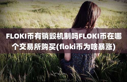 FLOKI币有销毁机制吗FLOKI币在哪个交易所购买(floki币为啥暴涨)