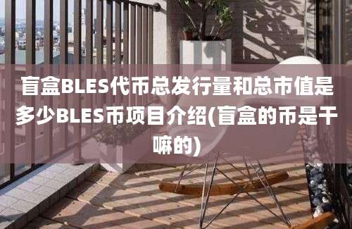 盲盒BLES代币总发行量和总市值是多少BLES币项目介绍(盲盒的币是干嘛的)