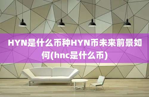 HYN是什么币种HYN币未来前景如何(hnc是什么币)