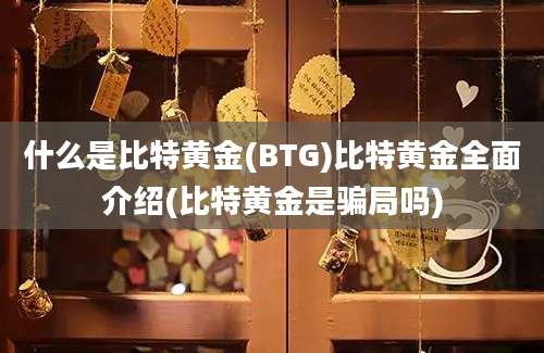 什么是比特黄金(BTG)比特黄金全面介绍(比特黄金是骗局吗)