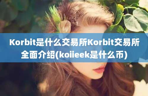 Korbit是什么交易所Korbit交易所全面介绍(koiieek是什么币)