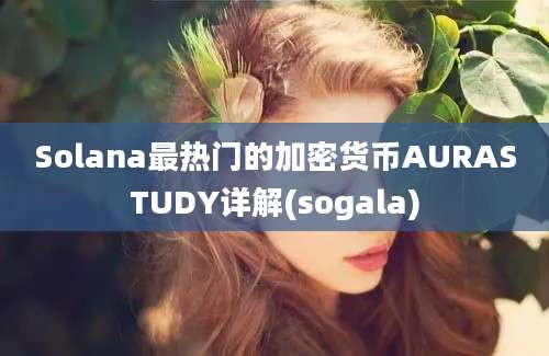 Solana最热门的加密货币AURASTUDY详解(sogala)