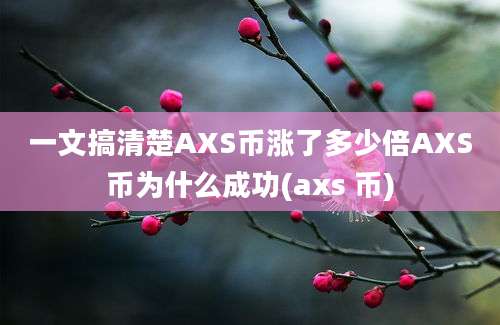 一文搞清楚AXS币涨了多少倍AXS币为什么成功(axs 币)