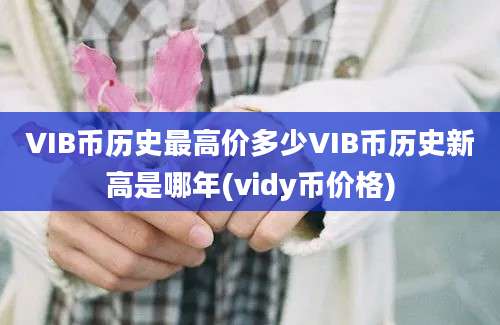 VIB币历史最高价多少VIB币历史新高是哪年(vidy币价格)