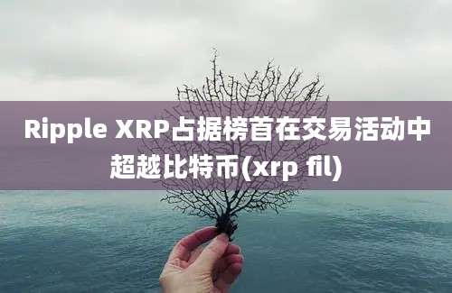 Ripple XRP占据榜首在交易活动中超越比特币(xrp fil)