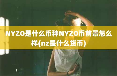 NYZO是什么币种NYZO币前景怎么样(nz是什么货币)