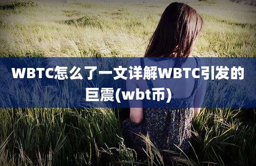 WBTC怎么了一文详解WBTC引发的巨震(wbt币)