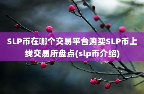 SLP币在哪个交易平台购买SLP币上线交易所盘点(slp币介绍)