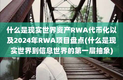 什么是现实世界资产RWA代币化以及2024年RWA项目盘点(什么是现实世界到信息世界的第一层抽象)