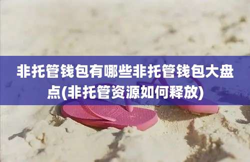 非托管钱包有哪些非托管钱包大盘点(非托管资源如何释放)