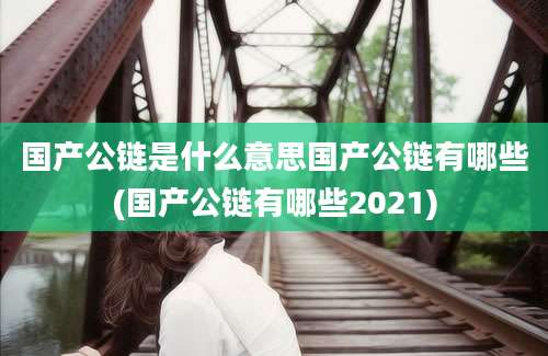 国产公链是什么意思国产公链有哪些(国产公链有哪些2021)