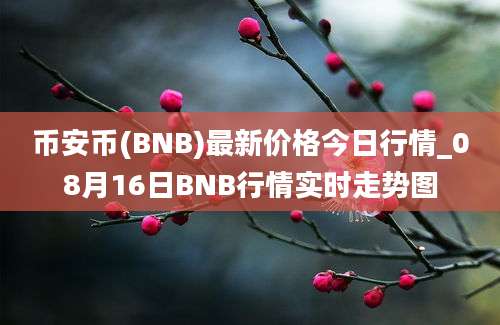 币安币(BNB)最新价格今日行情_08月16日BNB行情实时走势图