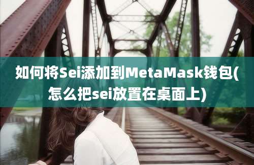 如何将Sei添加到MetaMask钱包(怎么把sei放置在桌面上)