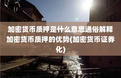 加密货币质押是什么意思通俗解释加密货币质押的优势(加密货币证券化)