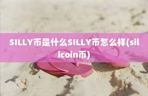 SILLY币是什么SILLY币怎么样(silicoin币)