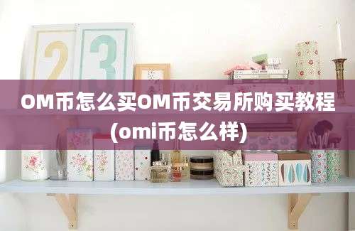 OM币怎么买OM币交易所购买教程(omi币怎么样)