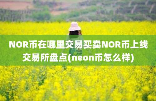 NOR币在哪里交易买卖NOR币上线交易所盘点(neon币怎么样)