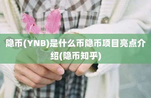 隐币(YNB)是什么币隐币项目亮点介绍(隐币知乎)