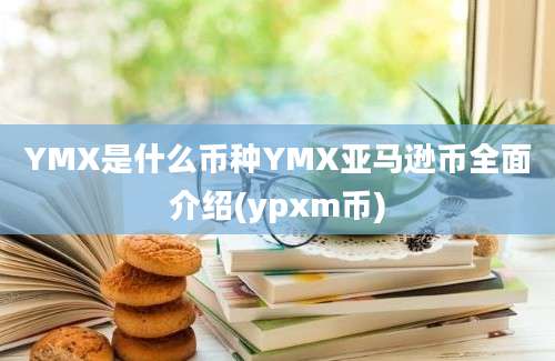 YMX是什么币种YMX亚马逊币全面介绍(ypxm币)