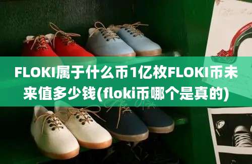 FLOKI属于什么币1亿枚FLOKI币未来值多少钱(floki币哪个是真的)