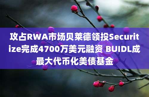 攻占RWA市场贝莱德领投Securitize完成4700万美元融资 BUIDL成最大代币化美债基金