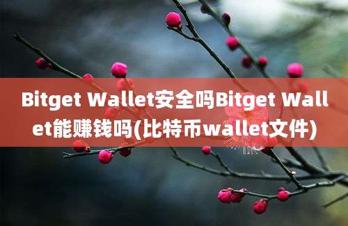 Bitget Wallet安全吗Bitget Wallet能赚钱吗(比特币wallet文件)