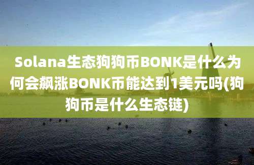 Solana生态狗狗币BONK是什么为何会飙涨BONK币能达到1美元吗(狗狗币是什么生态链)