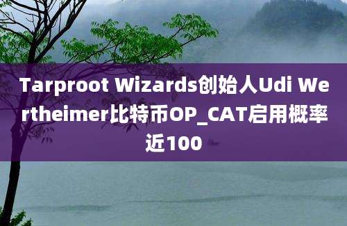 Tarproot Wizards创始人Udi Wertheimer比特币OP_CAT启用概率近100