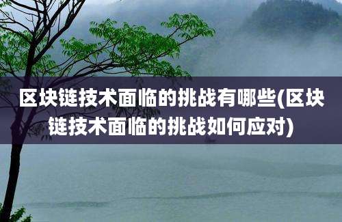 区块链技术面临的挑战有哪些(区块链技术面临的挑战如何应对)