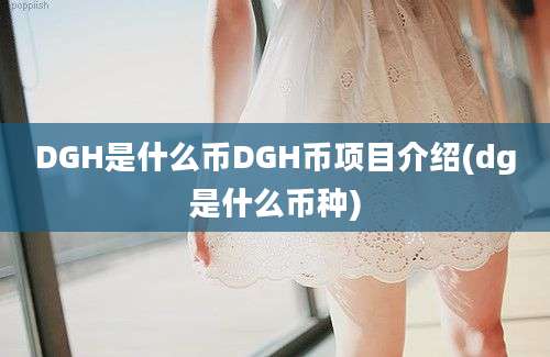 DGH是什么币DGH币项目介绍(dg是什么币种)