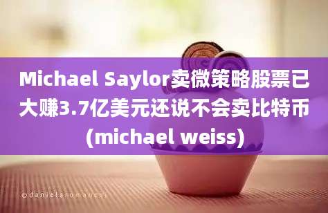 Michael Saylor卖微策略股票已大赚3.7亿美元还说不会卖比特币(michael weiss)