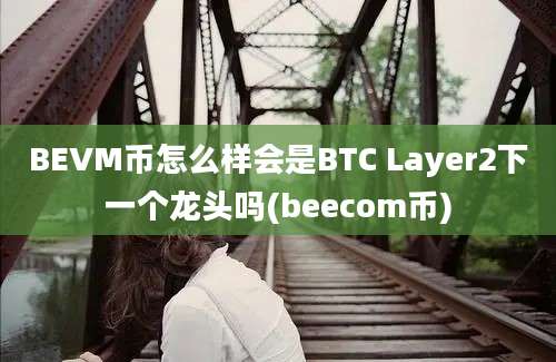 BEVM币怎么样会是BTC Layer2下一个龙头吗(beecom币)