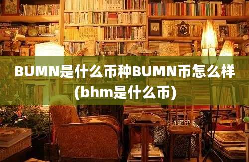 BUMN是什么币种BUMN币怎么样(bhm是什么币)