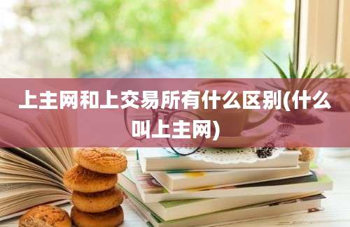 上主网和上交易所有什么区别(什么叫上主网)