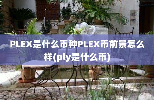 PLEX是什么币种PLEX币前景怎么样(ply是什么币)