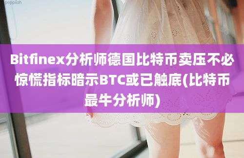 Bitfinex分析师德国比特币卖压不必惊慌指标暗示BTC或已触底(比特币最牛分析师)