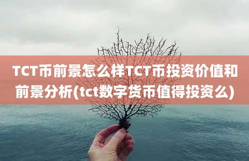 TCT币前景怎么样TCT币投资价值和前景分析(tct数字货币值得投资么)