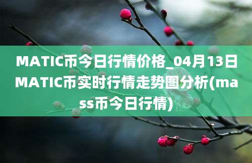 MATIC币今日行情价格_04月13日MATIC币实时行情走势图分析(mass币今日行情)