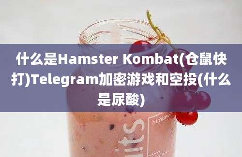 什么是Hamster Kombat(仓鼠快打)Telegram加密游戏和空投(什么是尿酸)