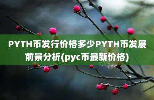 PYTH币发行价格多少PYTH币发展前景分析(pyc币最新价格)