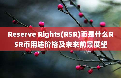 Reserve Rights(RSR)币是什么RSR币用途价格及未来前景展望