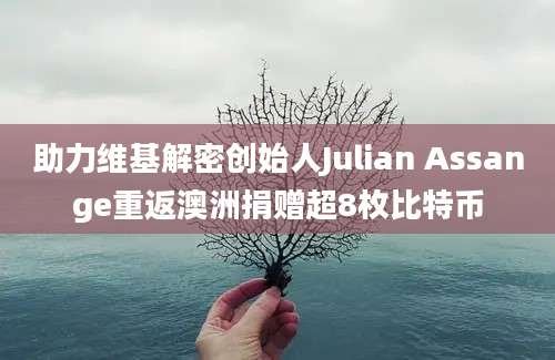 助力维基解密创始人Julian Assange重返澳洲捐赠超8枚比特币